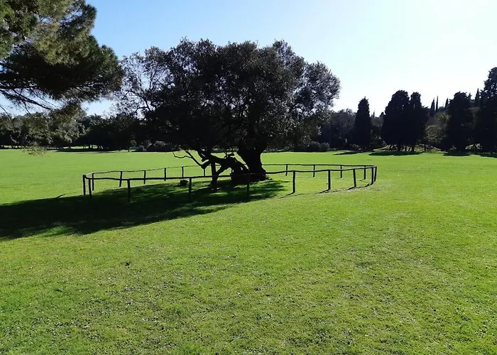 In Fa Ana With Swimming Pool *